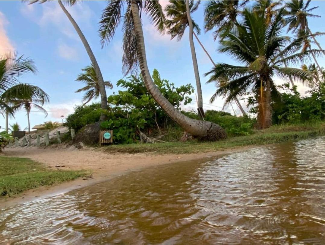 Maravilhoso Garden Imbassai Pe Na Areia Bahia Litoral Apartment ภายนอก รูปภาพ